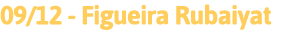 09 12 - Figueira Rubaiyat