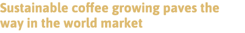 Sustainable coffee growing paves the way in the world market