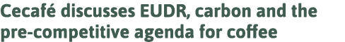 Cecafé discusses EUDR, carbon and the pre-competitive agenda for coffee