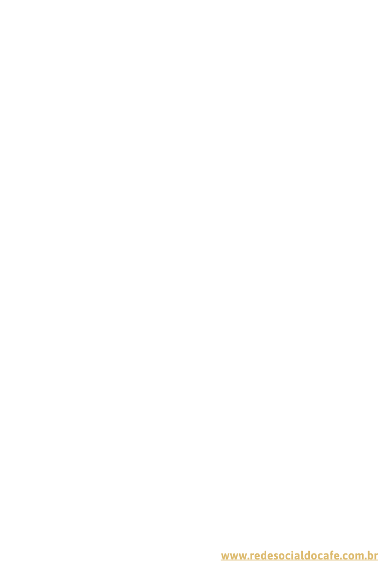 O ano era 2006 e a internet no Brasil ainda engatinhava  Vivia-se a lenta transição da internet discada à banda larga   