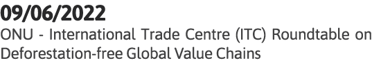 09 06 2022 ONU - International Trade Centre (ITC) Roundtable on Deforestation-free Global Value Chains