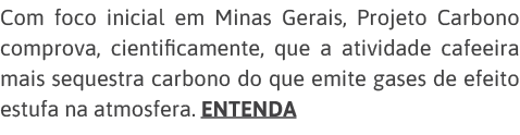 Com foco inicial em Minas Gerais, Projeto Carbono comprova, cientificamente, que a atividade cafeeira mais sequestra    