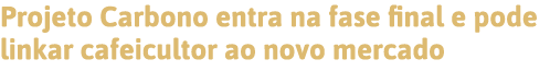 Projeto Carbono entra na fase final e pode linkar cafeicultor ao novo mercado