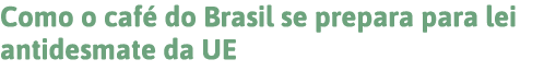 Como o café do Brasil se prepara para lei antidesmate da UE 